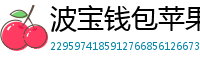 波宝钱包苹果版安装教程